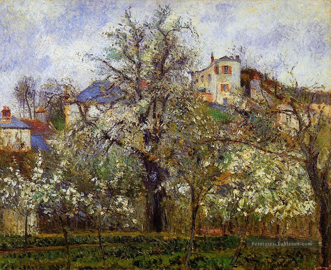 le potager aux arbres en fleurs printemps pontoise 1877 Camille Pissarro Peintures à l'huile